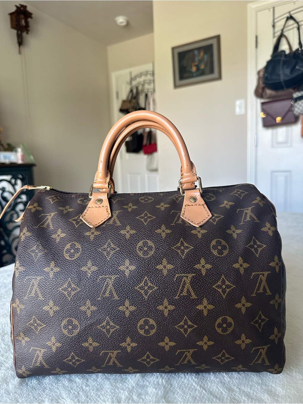 Louis Vuitton Brown Monogram Speedy 30 Handbag